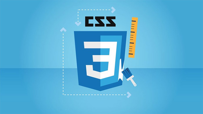 Avatar for CSS developer by Islam Dino on Dribbble
