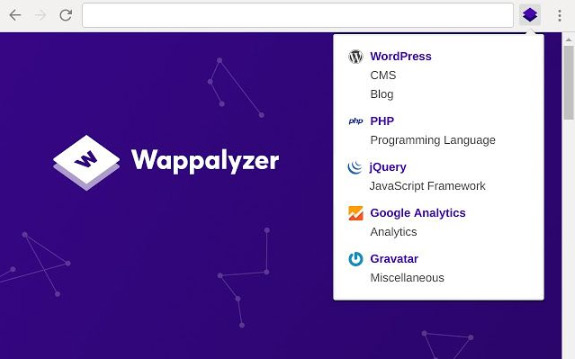 Frontend Developer Extension Wappalyzer