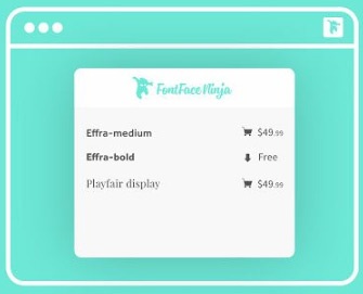 Frontend Developer Extension FontFace Ninja