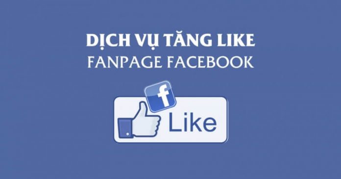 top 10 dich vu tang like facebook