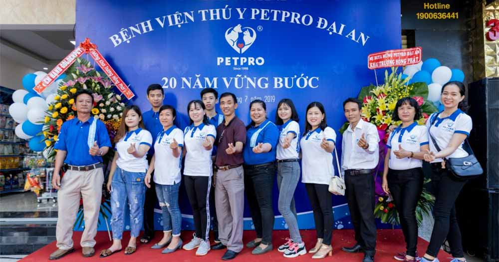 Phòng khám Bệnh viện Thú Y PetPro