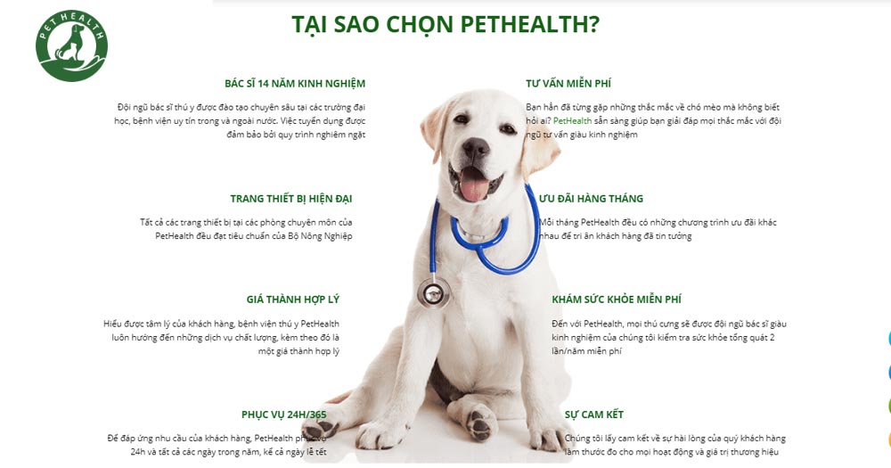 Hệ Thống Bệnh Viện Thú Y PetHealth