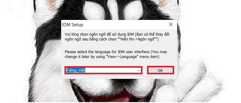 chọn ngôn ngữ Tiếng Việt và nhấn OK