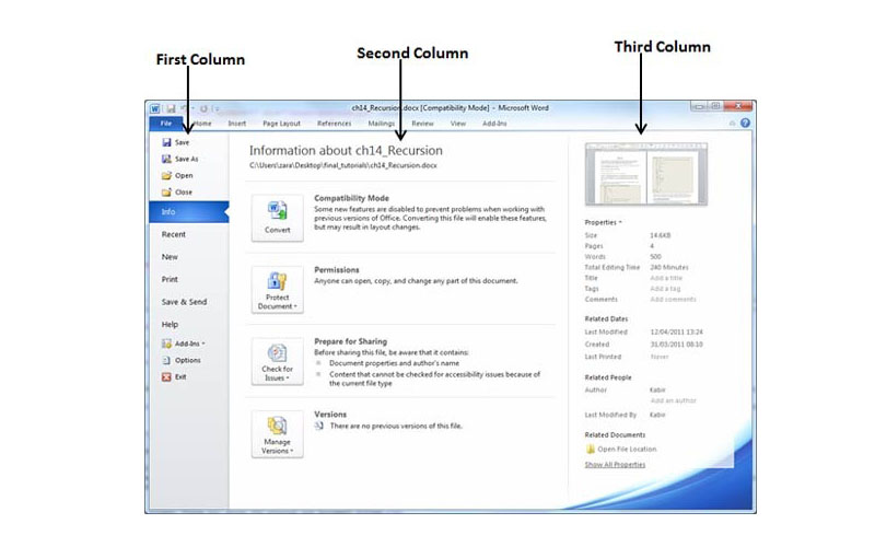 Word 2010
