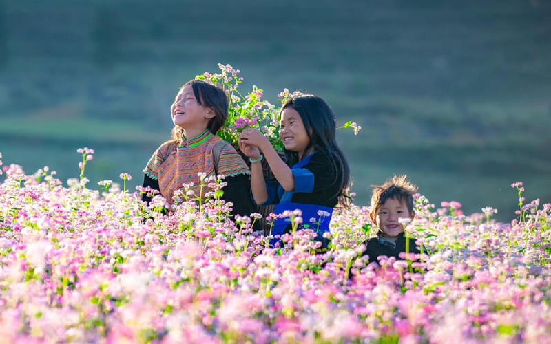 Du lịch Hà Giang tháng nào đẹp nhất trong năm